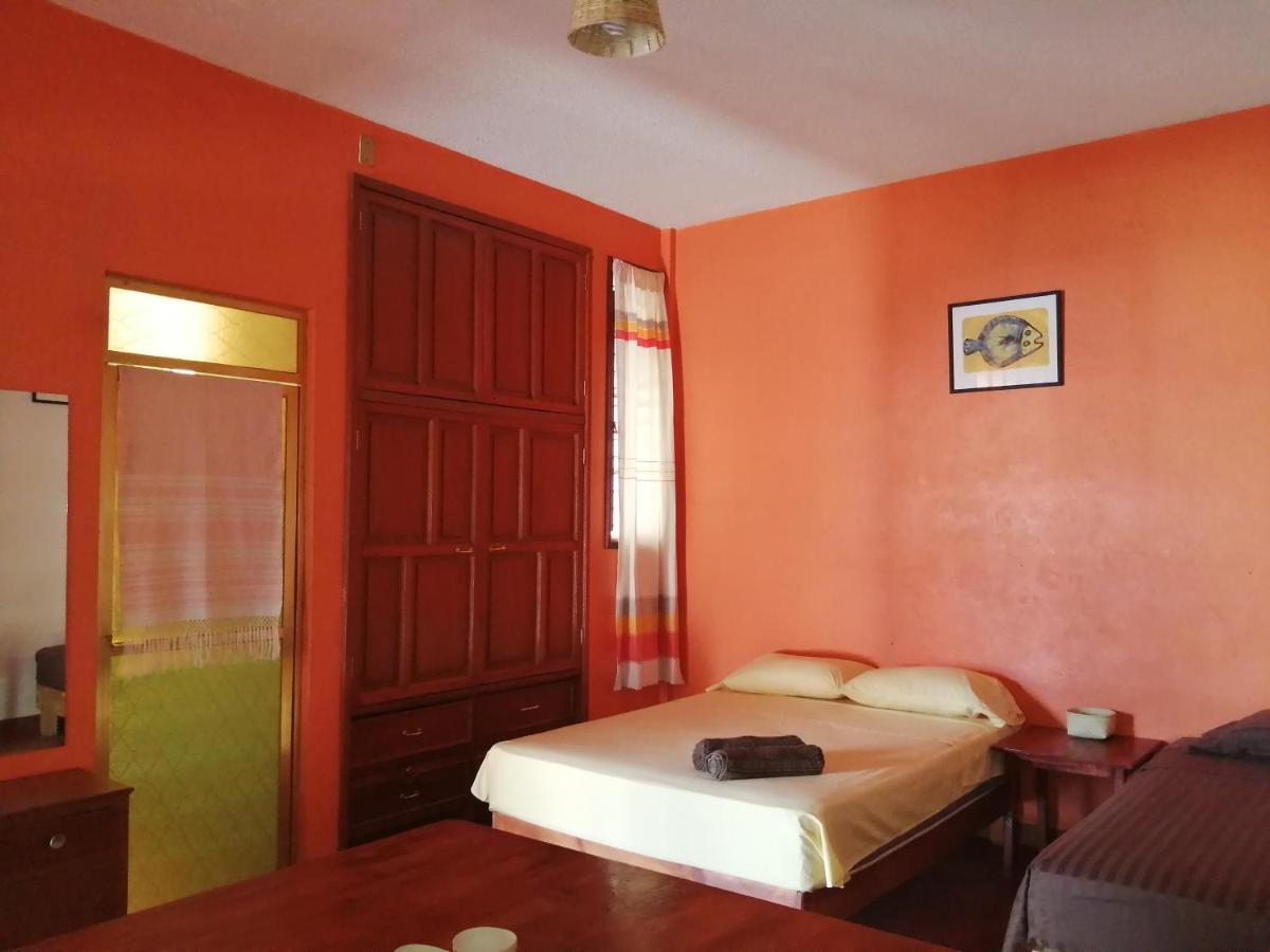 Hostal Alegria De Oaxaca Екстер'єр фото